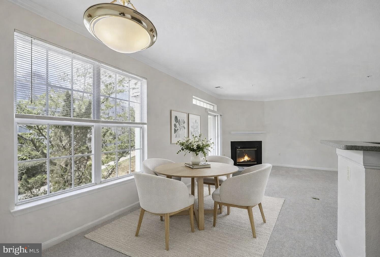 FOX MILL STATION - Residential