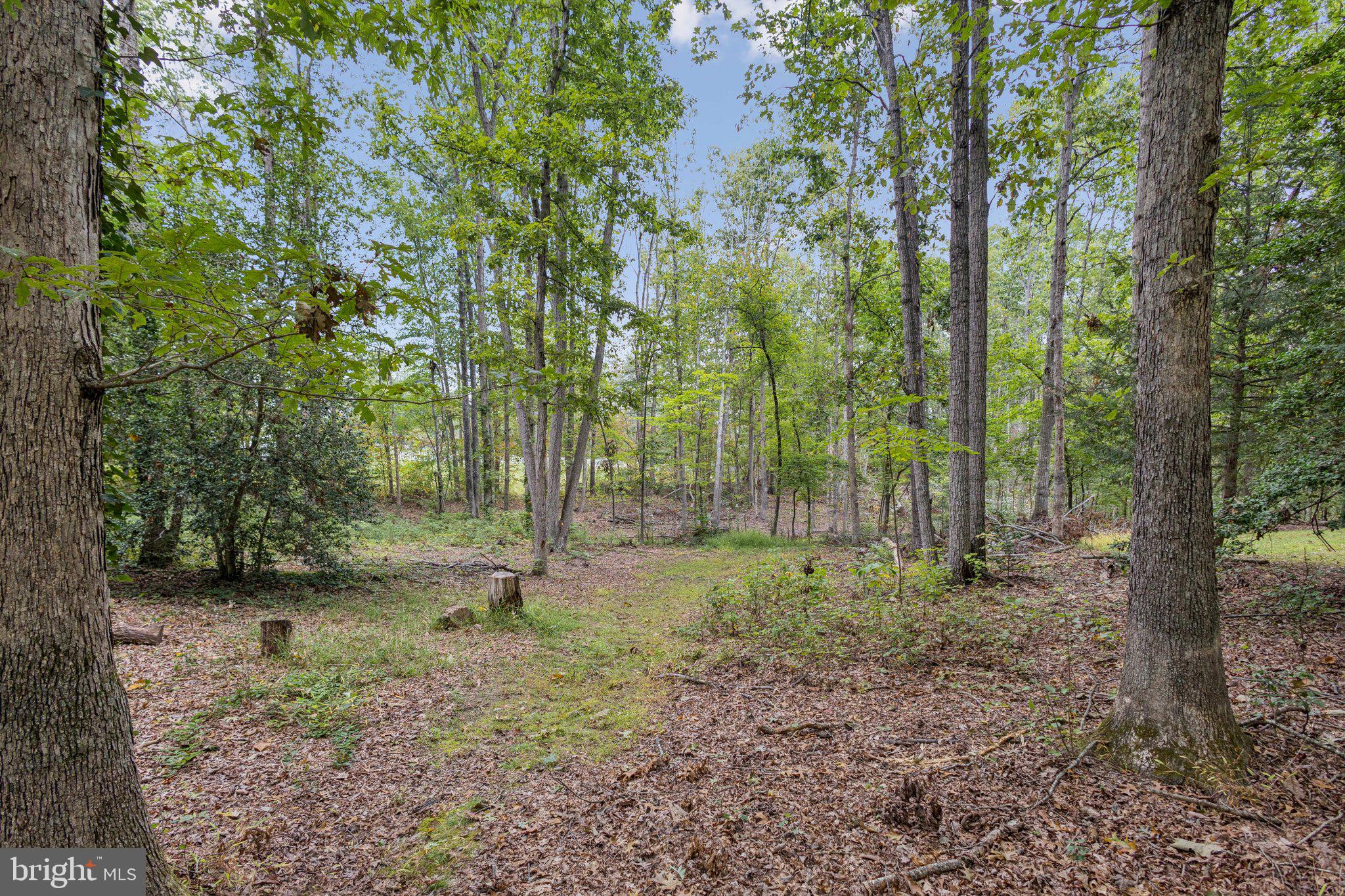 TOWER HILL - Residential