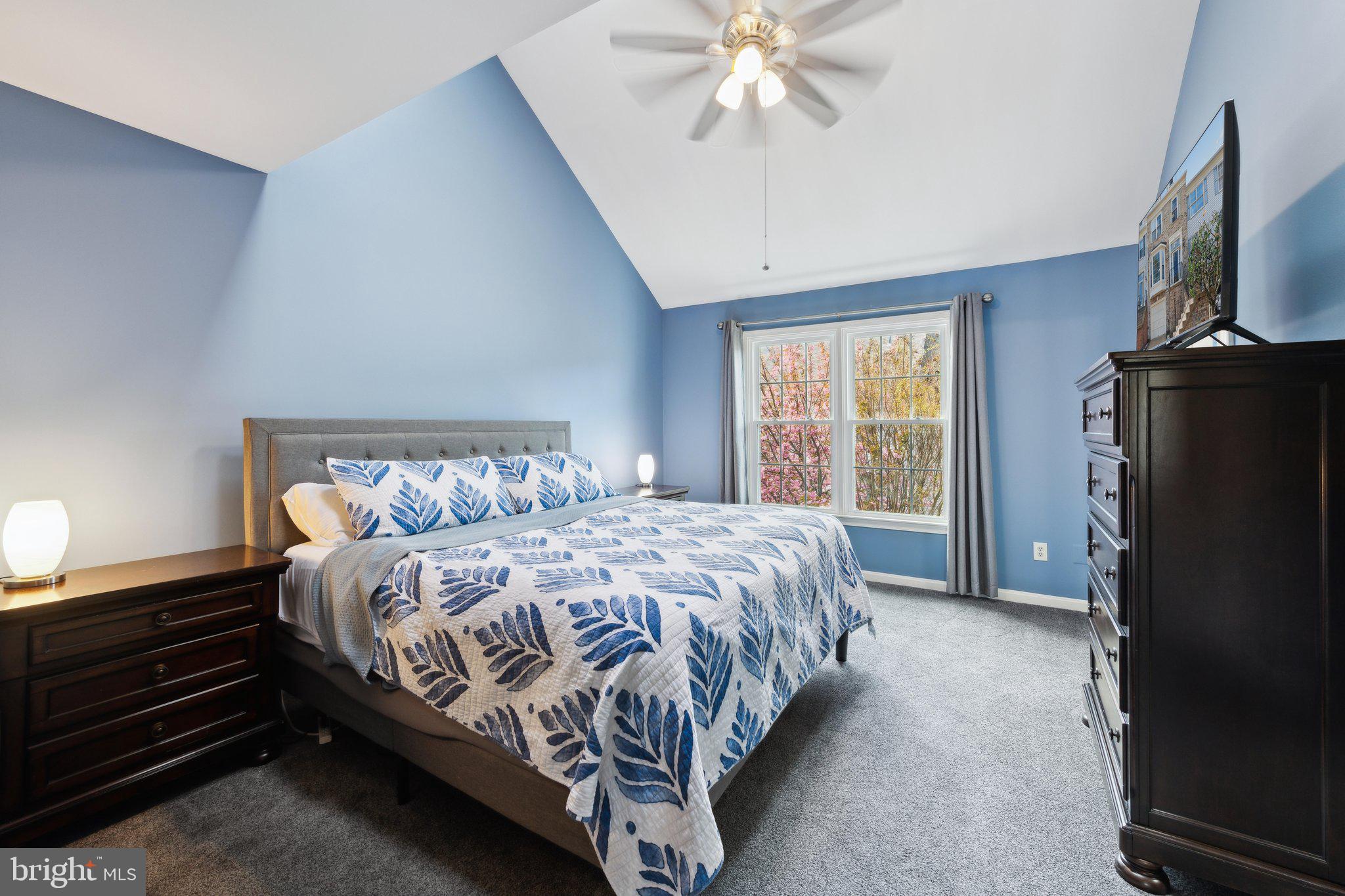 THE MEWS - Residential