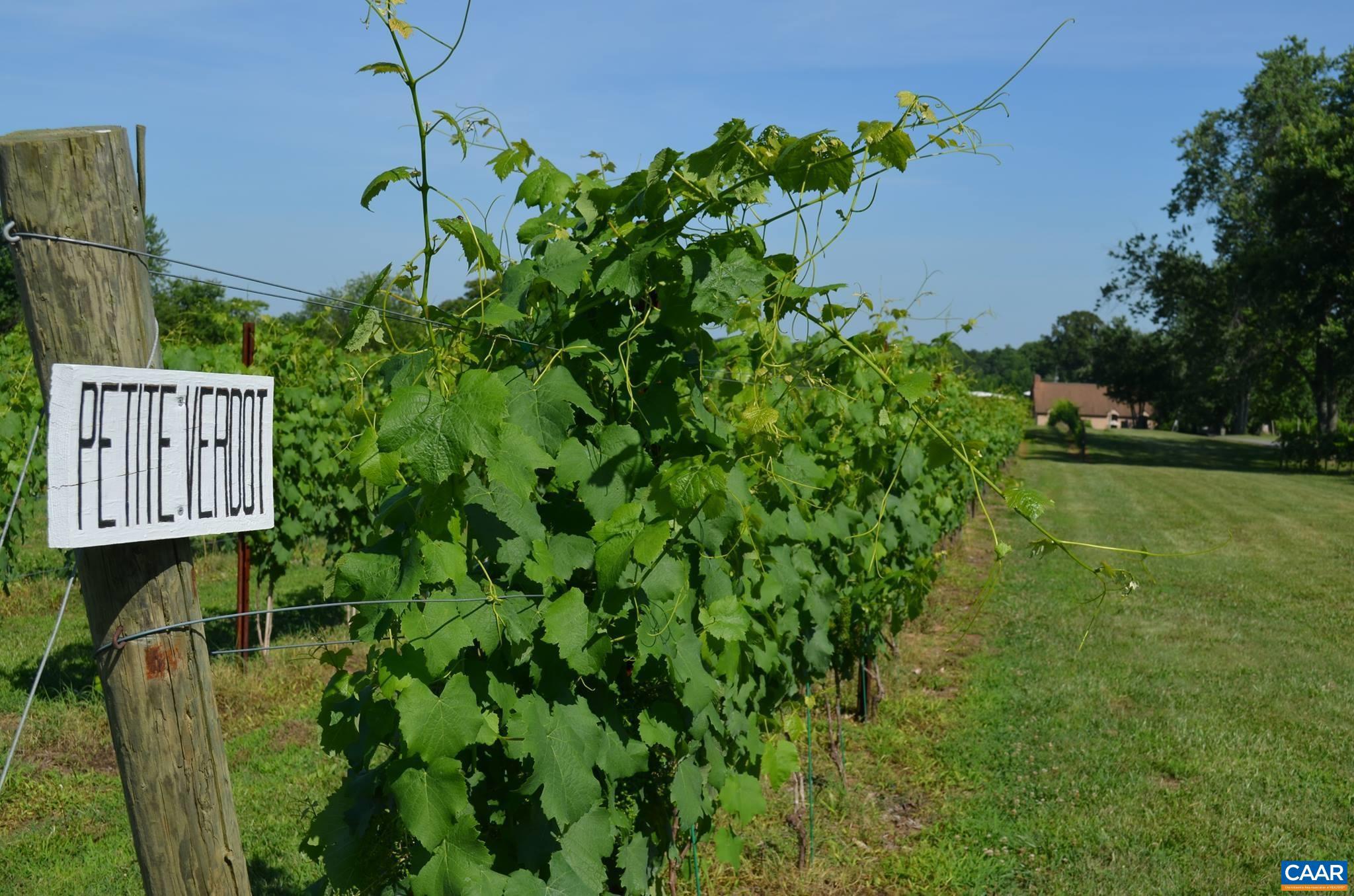 NONE AVAILABLE - Land