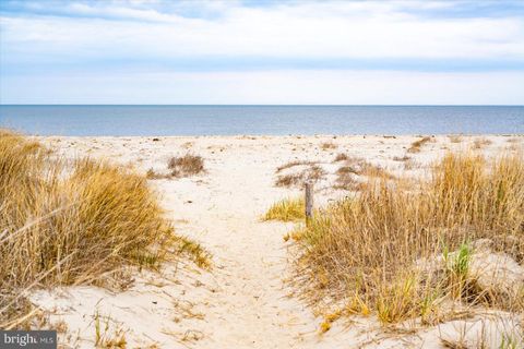 listing image 90