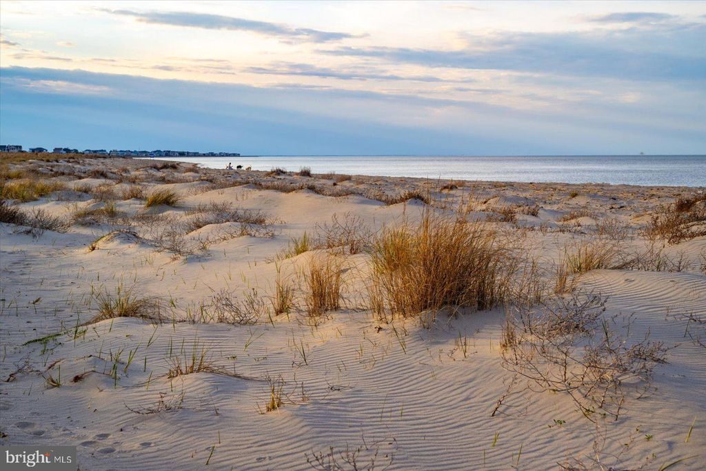 listing image 86