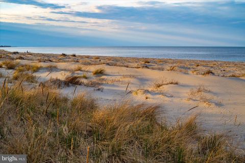 listing image 87