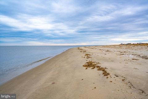 listing image 91