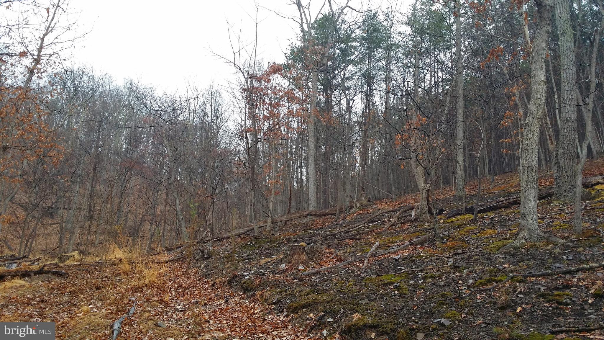 BLUFFS ON THE POTOMAC - Land