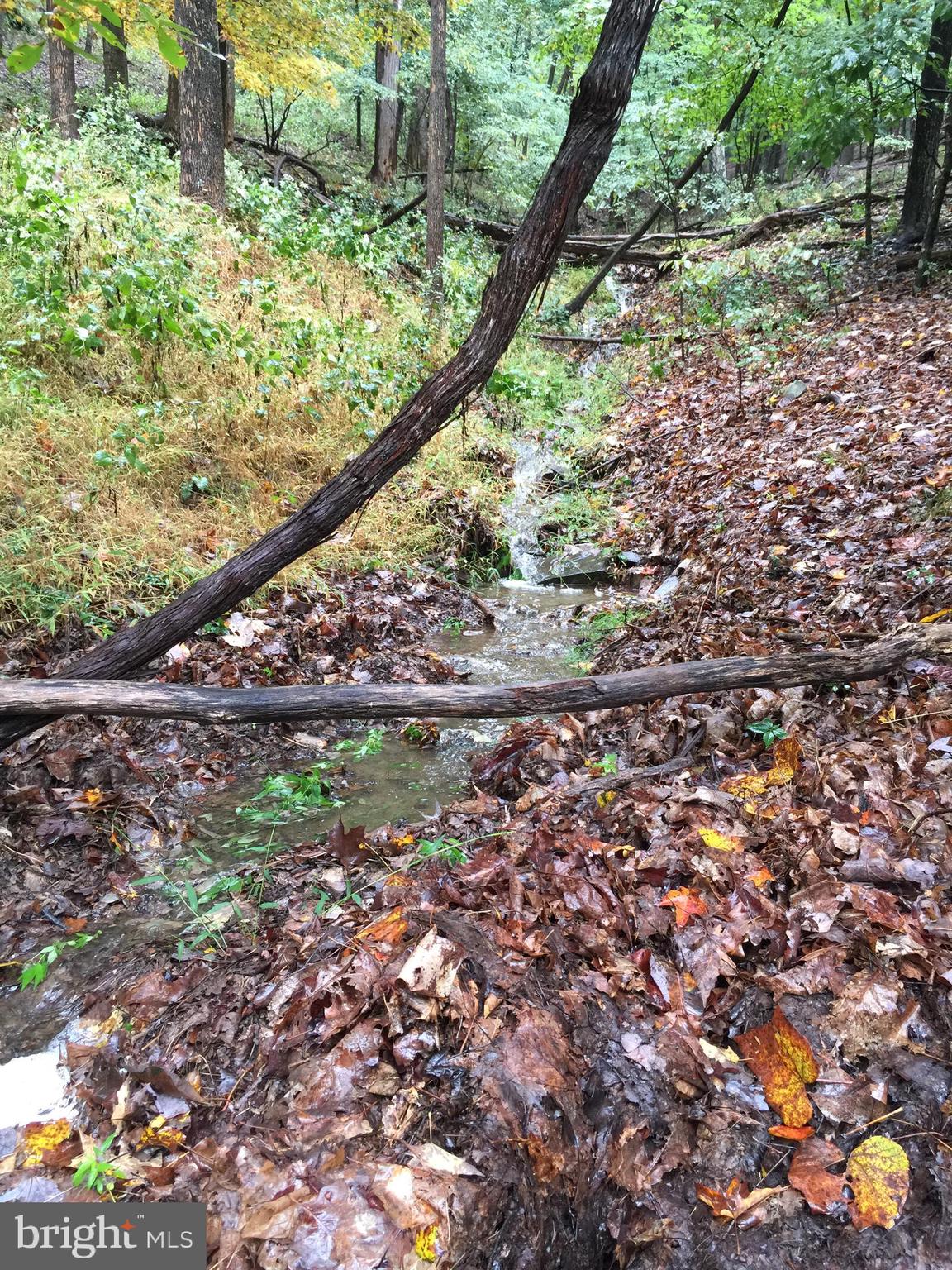 BLUFFS ON THE POTOMAC - Land
