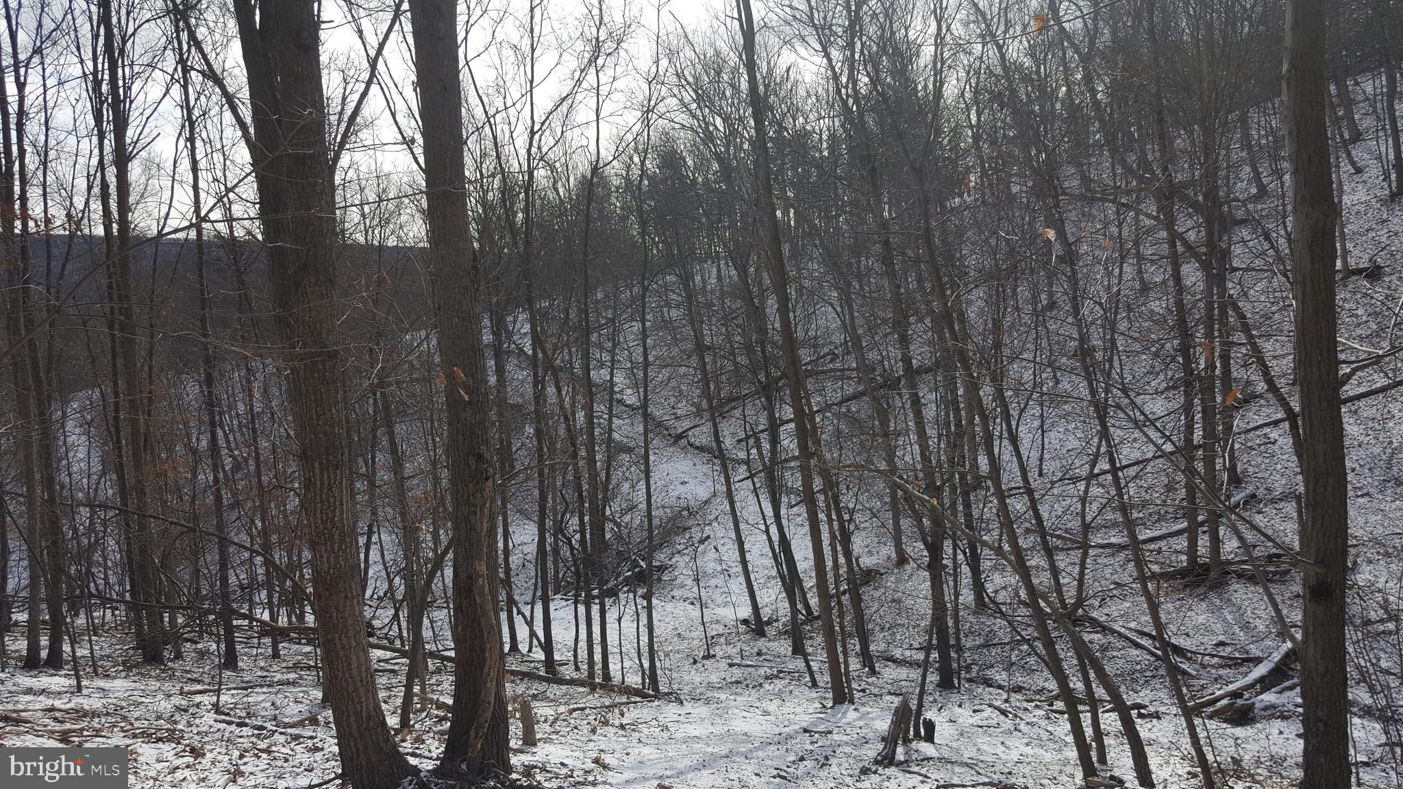 BLUFFS ON THE POTOMAC - Land