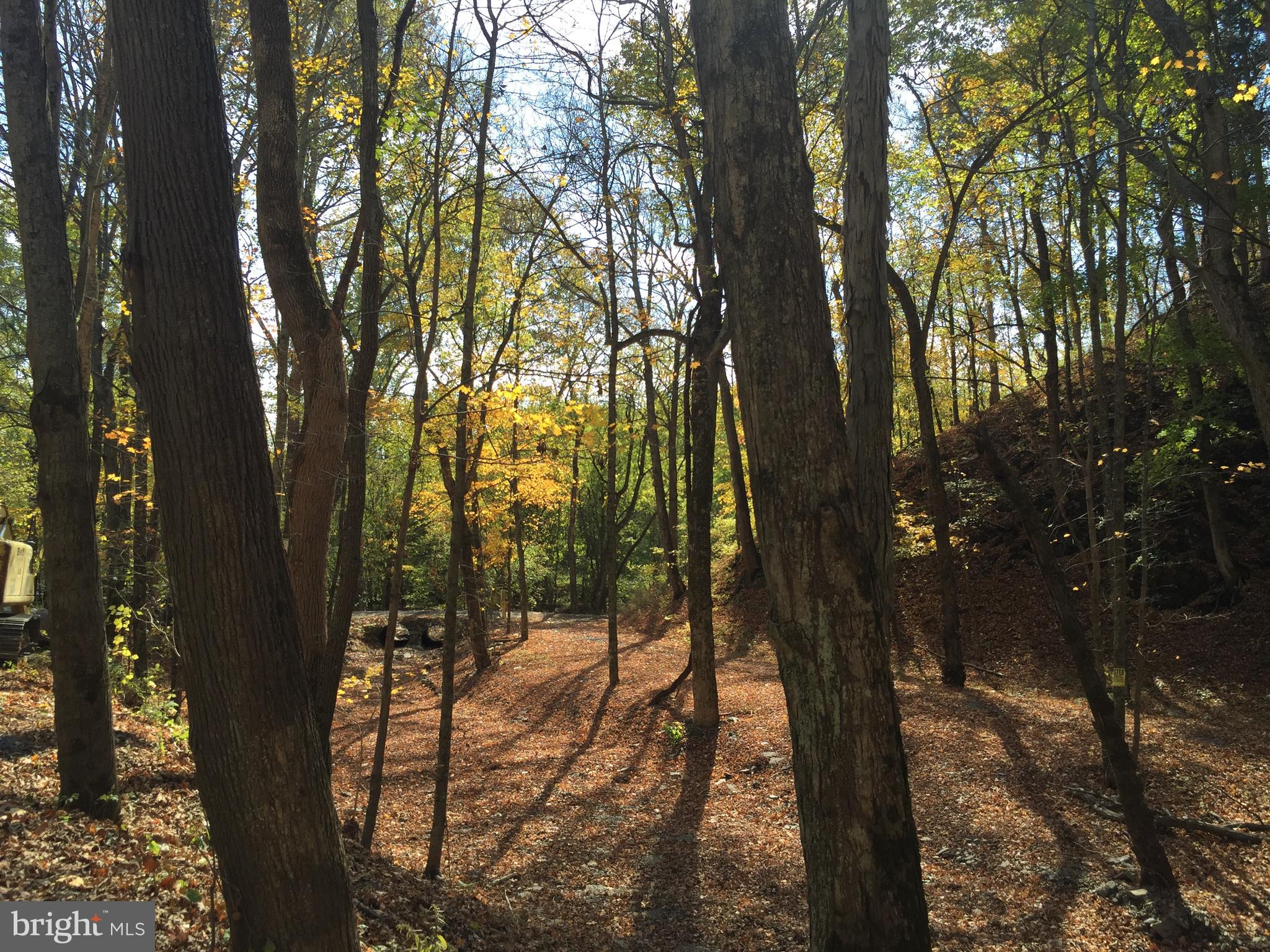 BLUFFS ON THE POTOMAC - Land