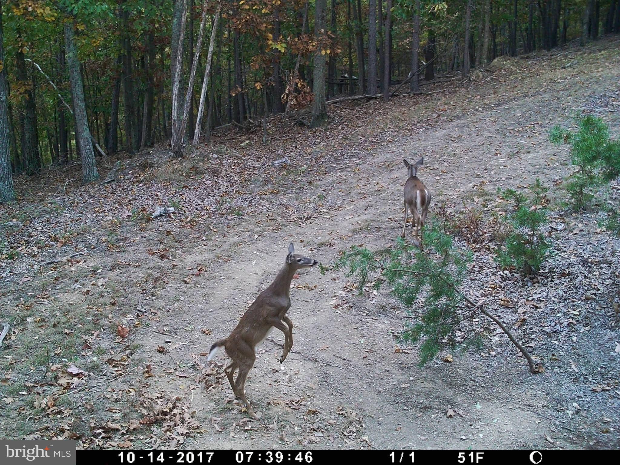 BLUFFS ON THE POTOMAC - Land