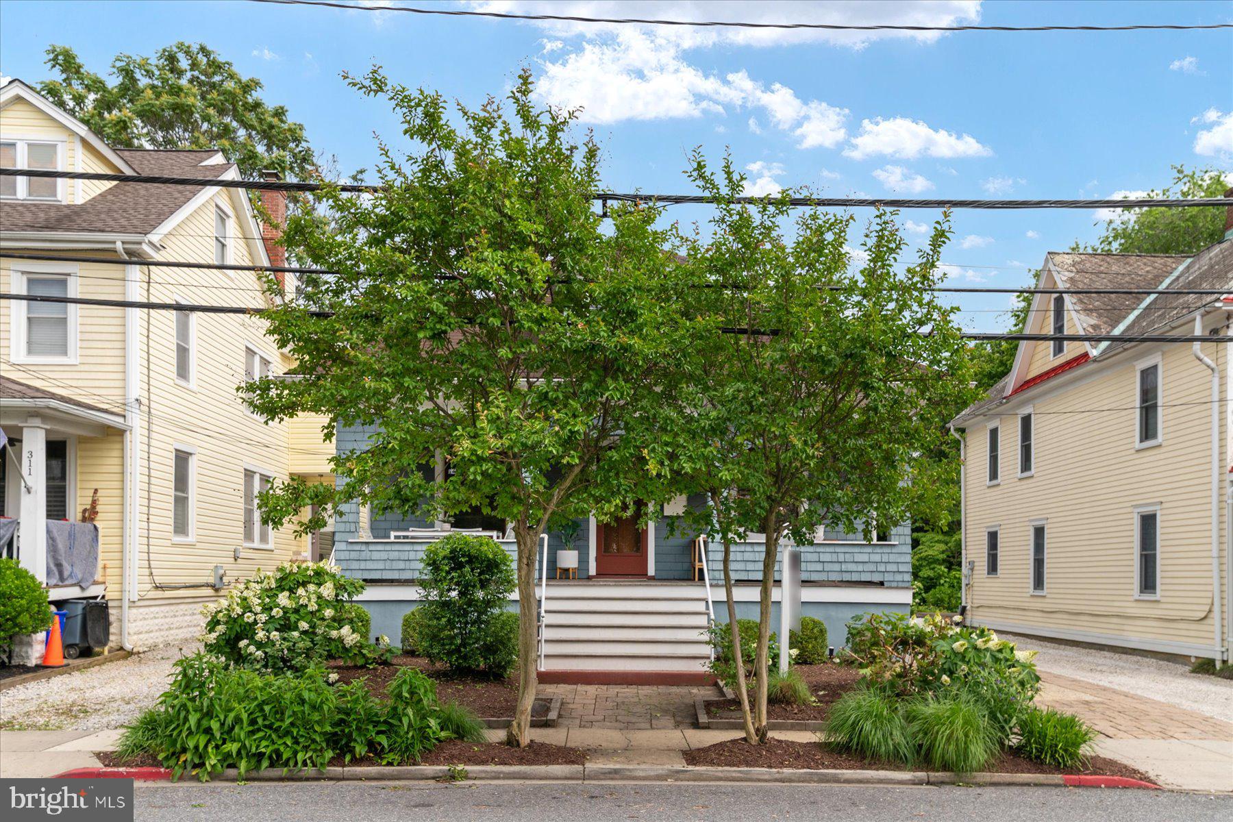 313 CHESAPEAKE AVENUE