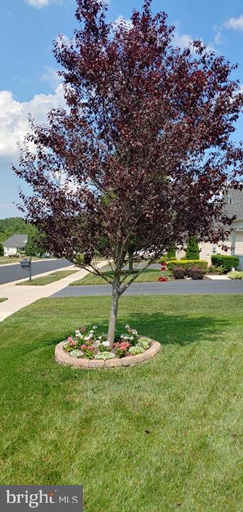 VIRGINIA HERITAGE AT LEE'S PARK - Residential