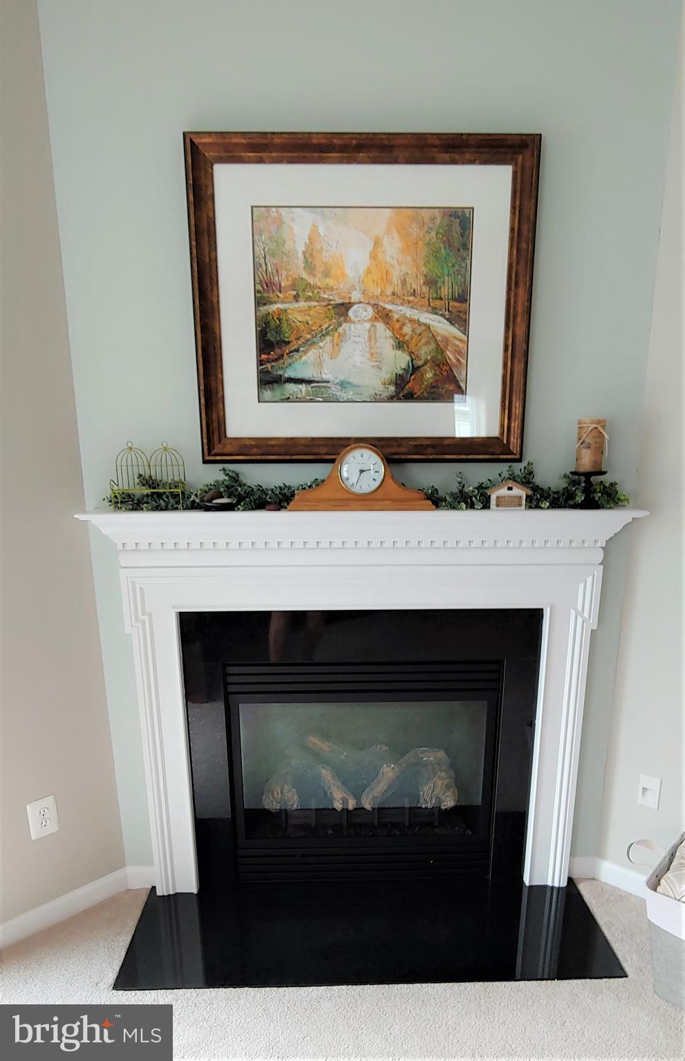 VIRGINIA HERITAGE AT LEE'S PARK - Residential