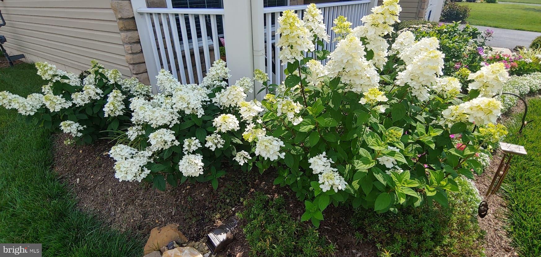 VIRGINIA HERITAGE AT LEE'S PARK - Residential