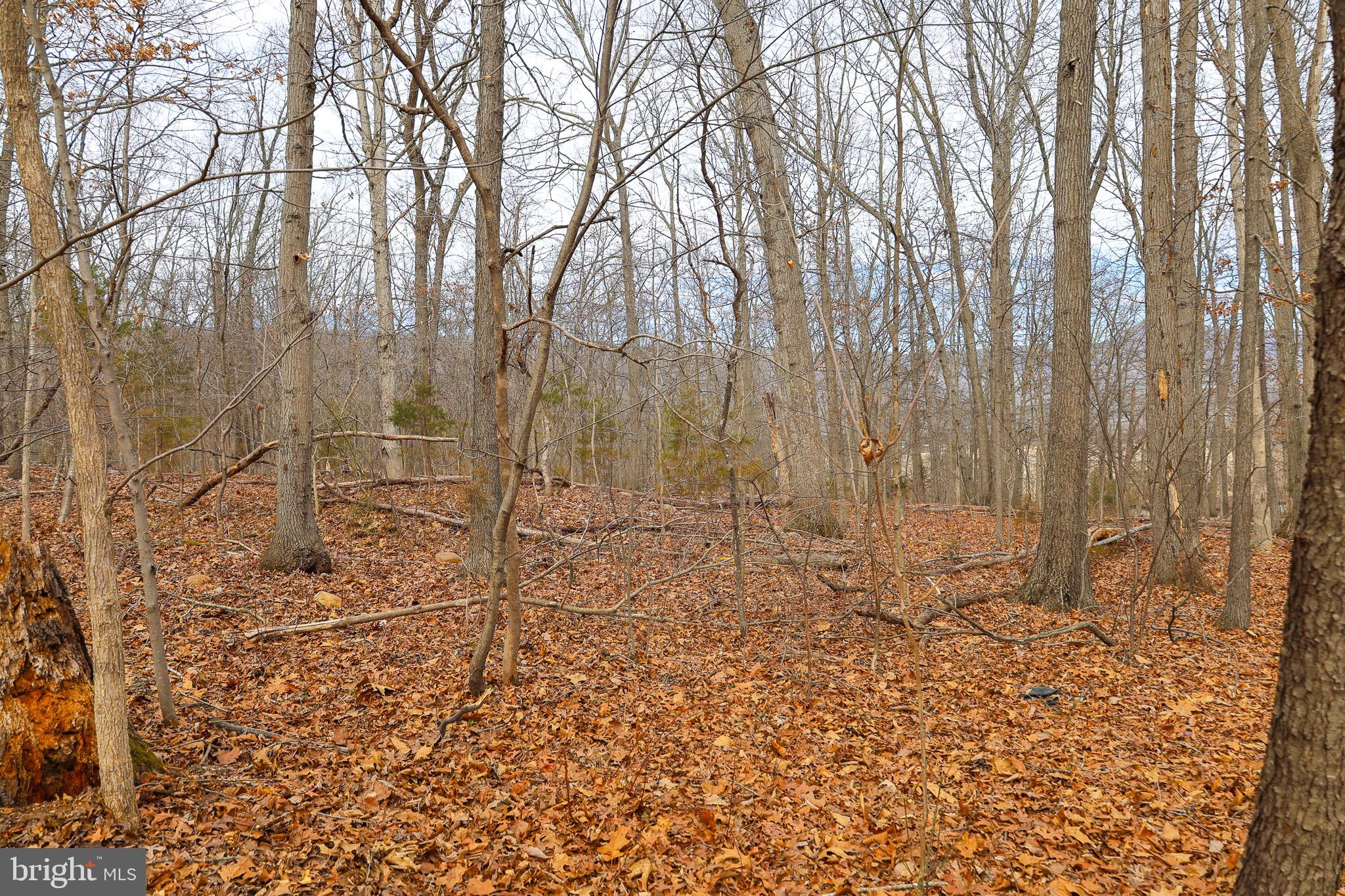 RIVERVIEW ESTATES - Land