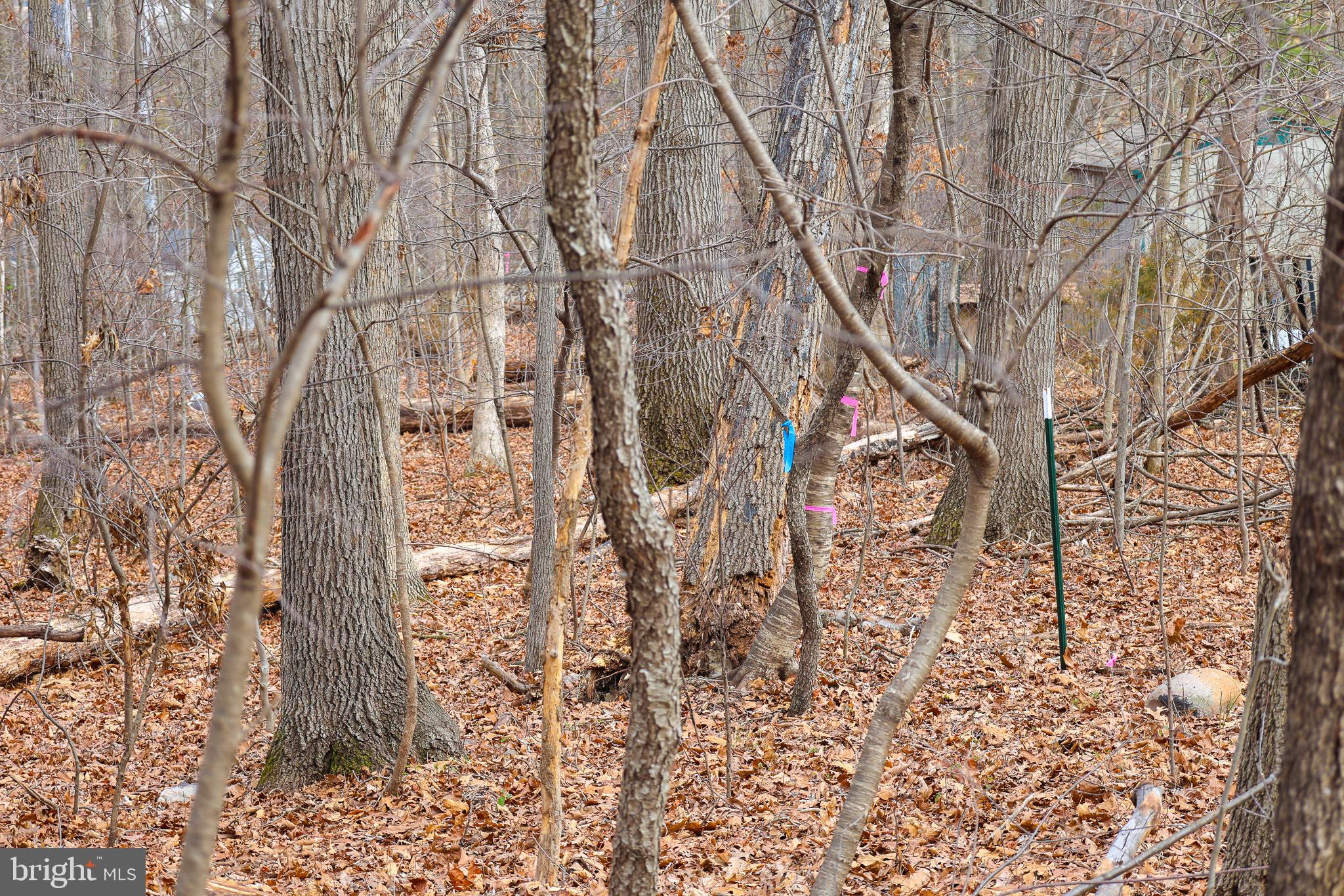 RIVERVIEW ESTATES - Land