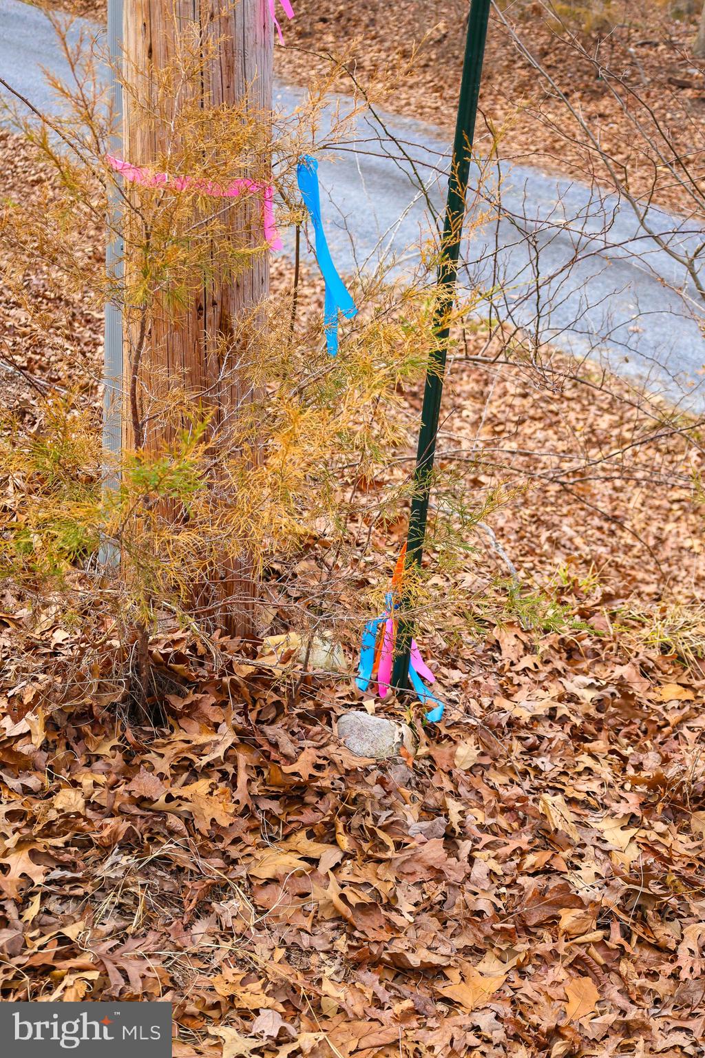 RIVERVIEW ESTATES - Land