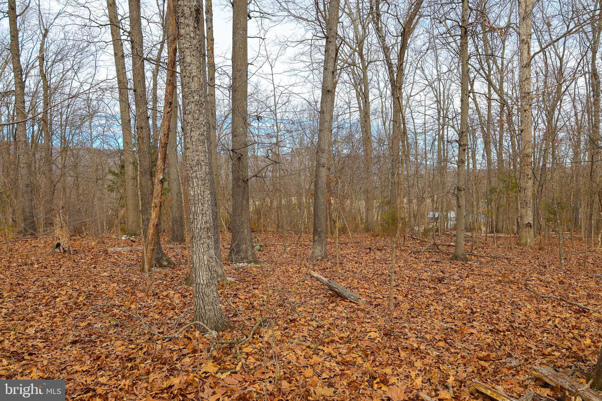 RIVERVIEW ESTATES - Land