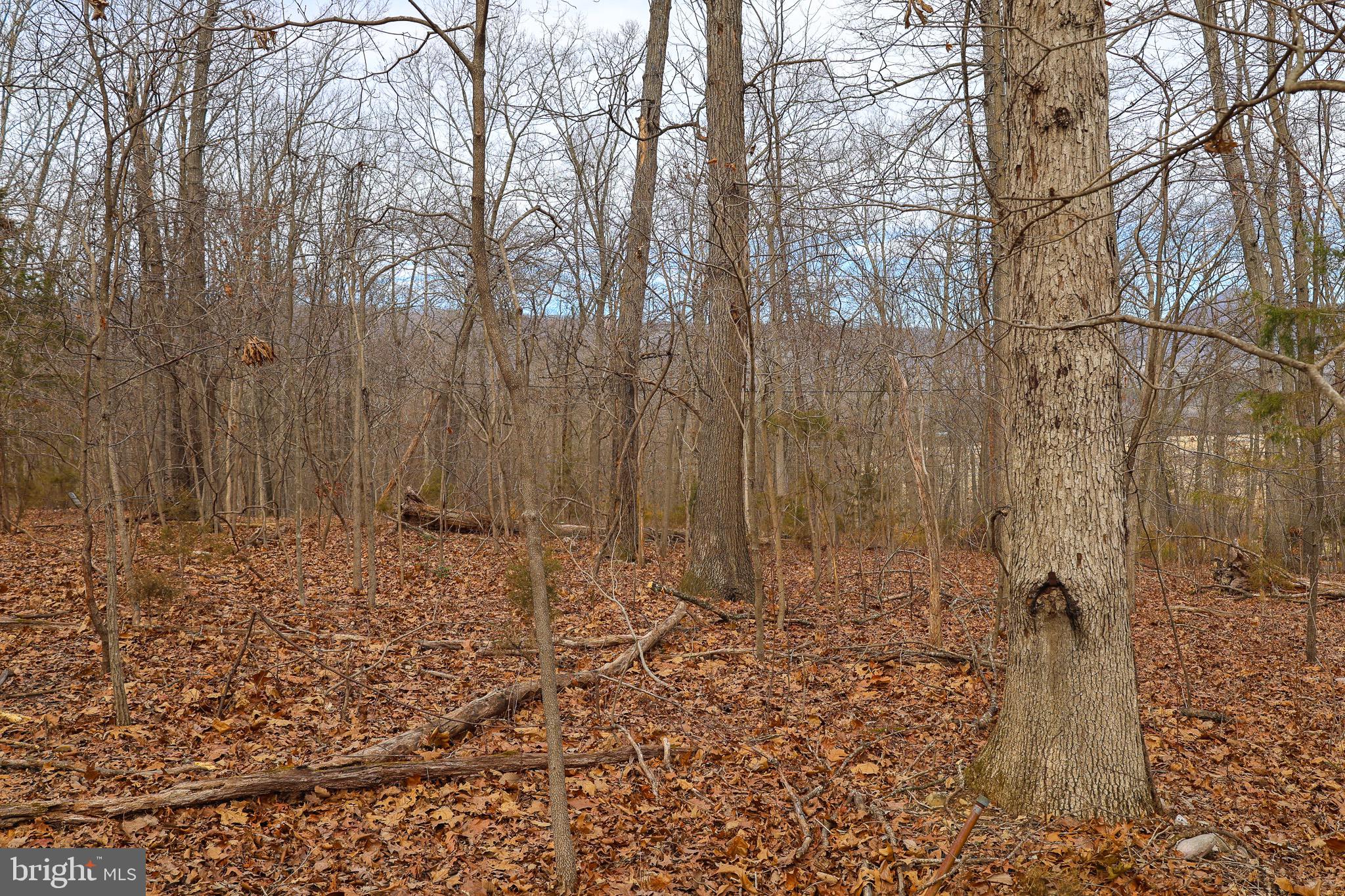 RIVERVIEW ESTATES - Land