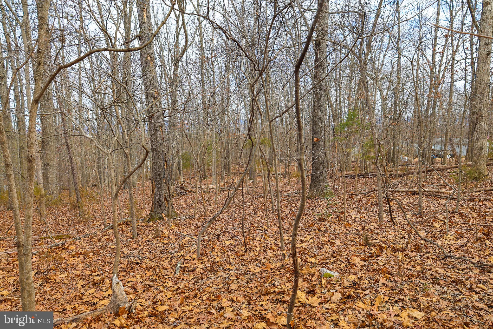 RIVERVIEW ESTATES - Land