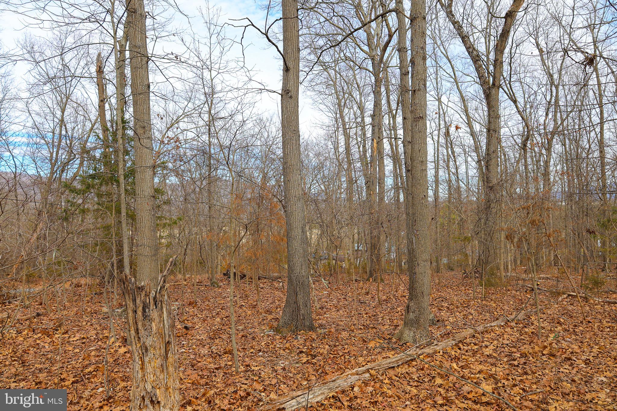 RIVERVIEW ESTATES - Land