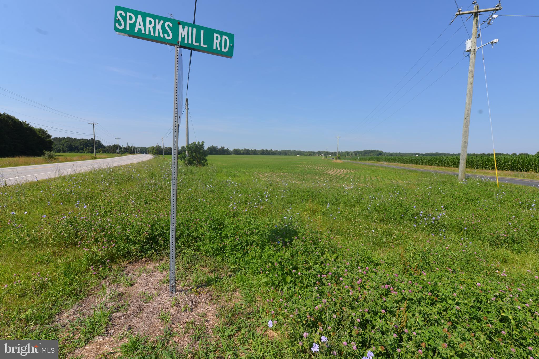 161.85 acres with NO EASTMENT! Limited by only zoning and your imagination. About 97 tillable, on east and west sides of MD Route 213 between Centreville and Church Hill; 4 platted perk sites, and more potential. Communications Tower lease $788.31/month; In the Queen Anne's County "Opportunity Zone" tax breaks for permitted uses. No Easements! Chesapeake Bay Scenic Byway(Potential sale of easement); Hunting: Goose, Deer, Turkey, wood ducks; 1000+/- feet along both sides of Granny Findley Branch - surrounded by woodland filled with deer. Invest in the future, rent the farmland and hunting rights, farm it yourself, build your dream home no builder tie in.