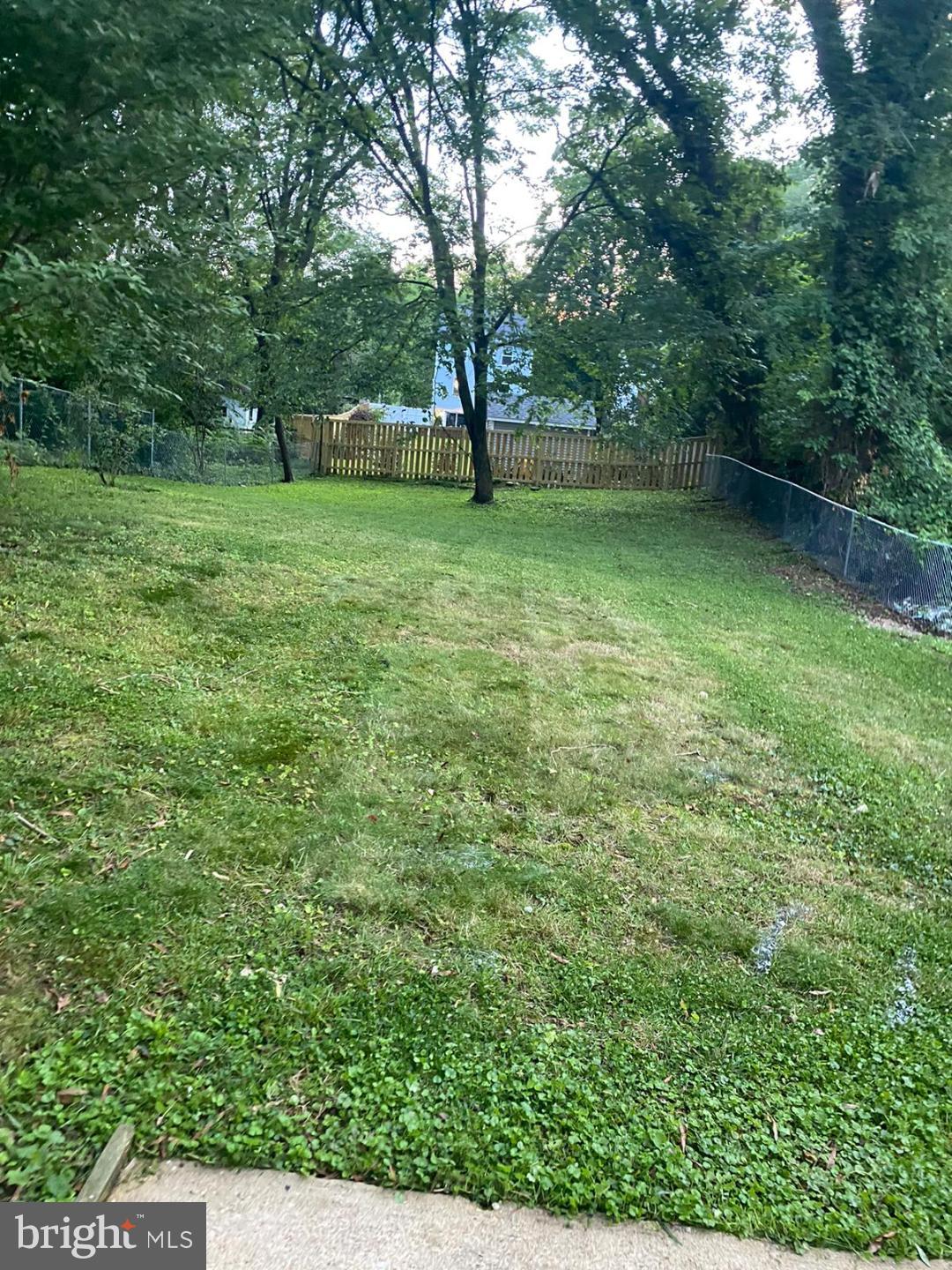 MOUNT RAINIER - Residential