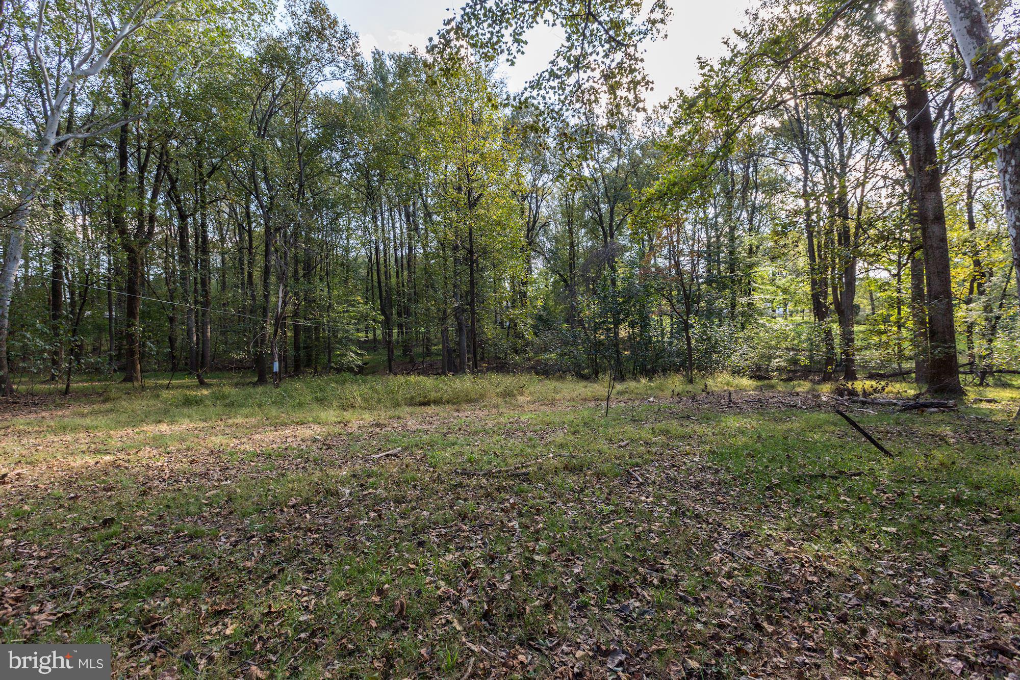 GREAT FALLS ESTATES - Residential