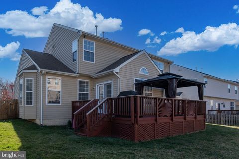 listing image 53