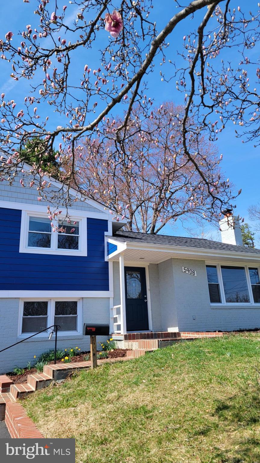 SPRINGFIELD - Residential