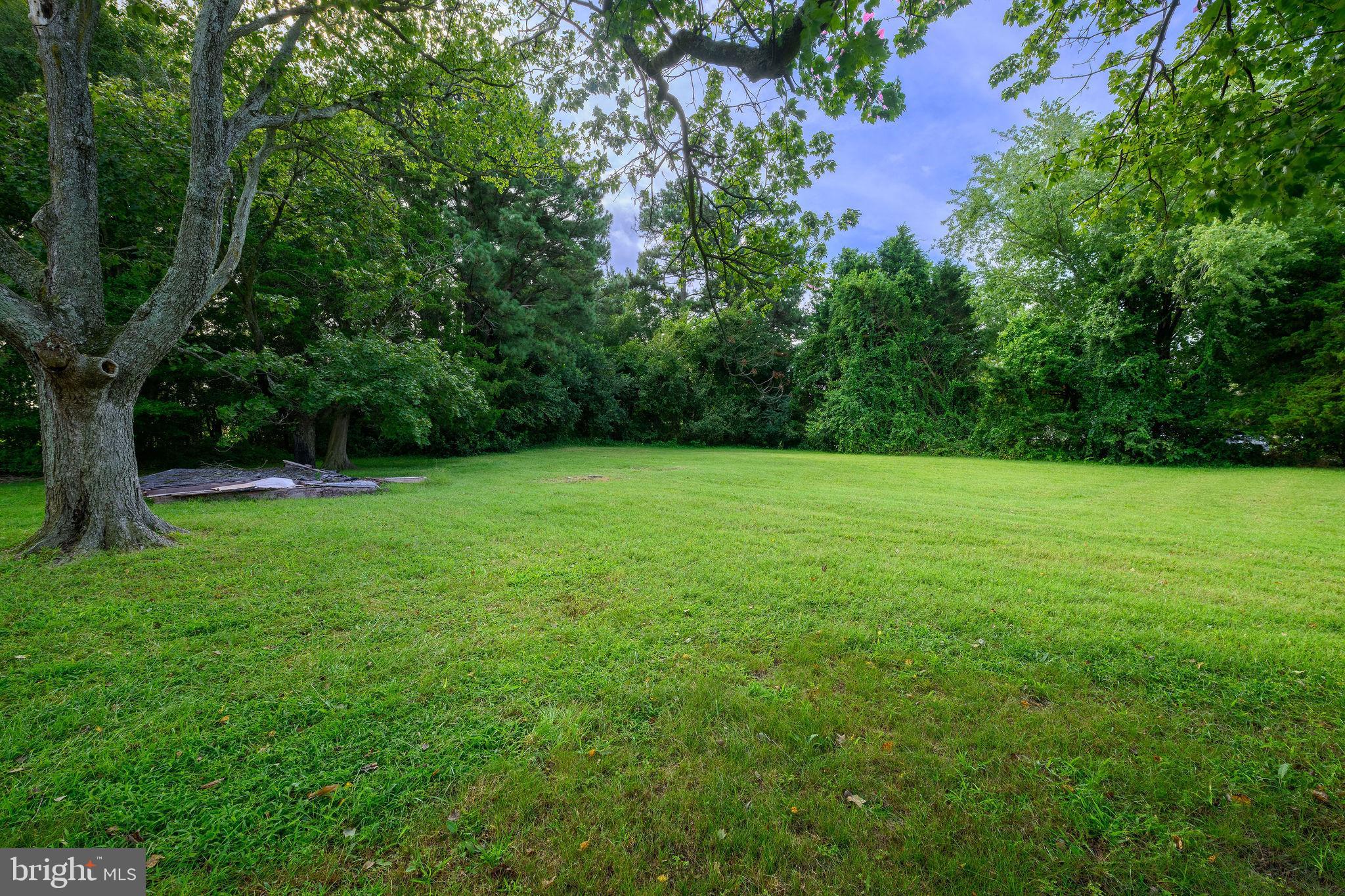 23175 WOOD BRANCH ROAD