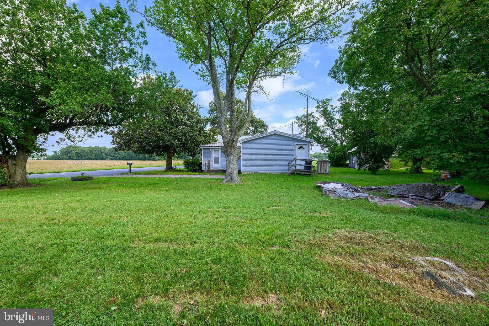 23175 WOOD BRANCH ROAD