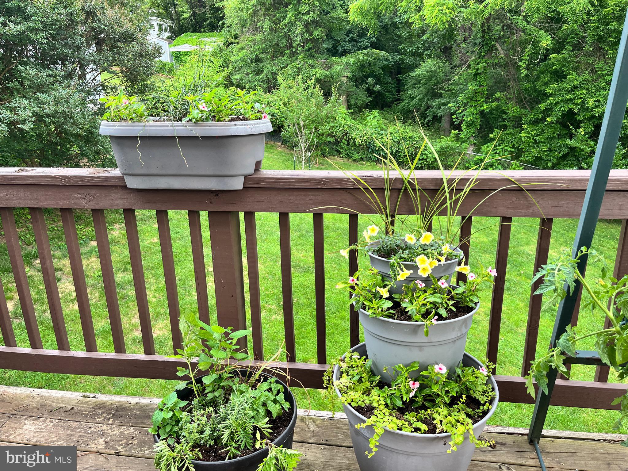 FAIRVIEW COURT - Residential