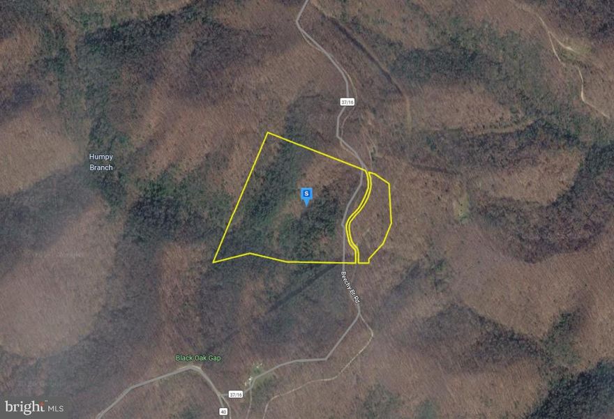 Discover 40 acres of private, wooded land in Wayne County, WV, offering a peaceful setting surrounded by rolling hills and natural beauty. This expansive property provides plenty of space to spread out, explore, or create your own retreat, with no HOA restrictions to limit your plans. The terrain features a mix of mature trees and varied topography, ideal for those seeking privacy and a true country feel. Well and septic will be required, giving you flexibility to design your setup to fit your needs. Whether you're looking to invest or enjoy a quiet escape, this property offers a great opportunity to own a large tract of land in a scenic area.