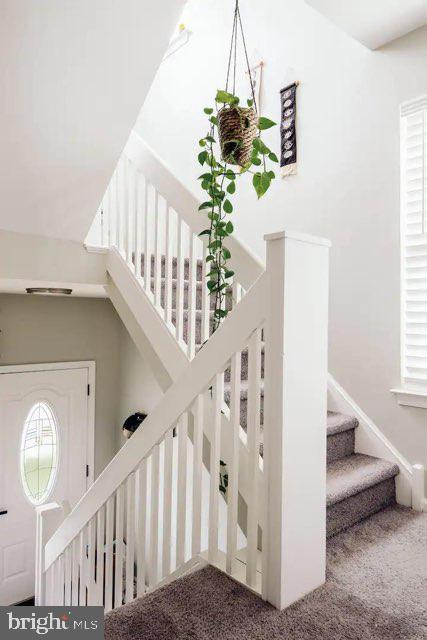 BAY TREE - Residential