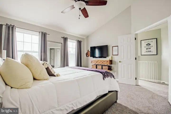 BAY TREE - Residential