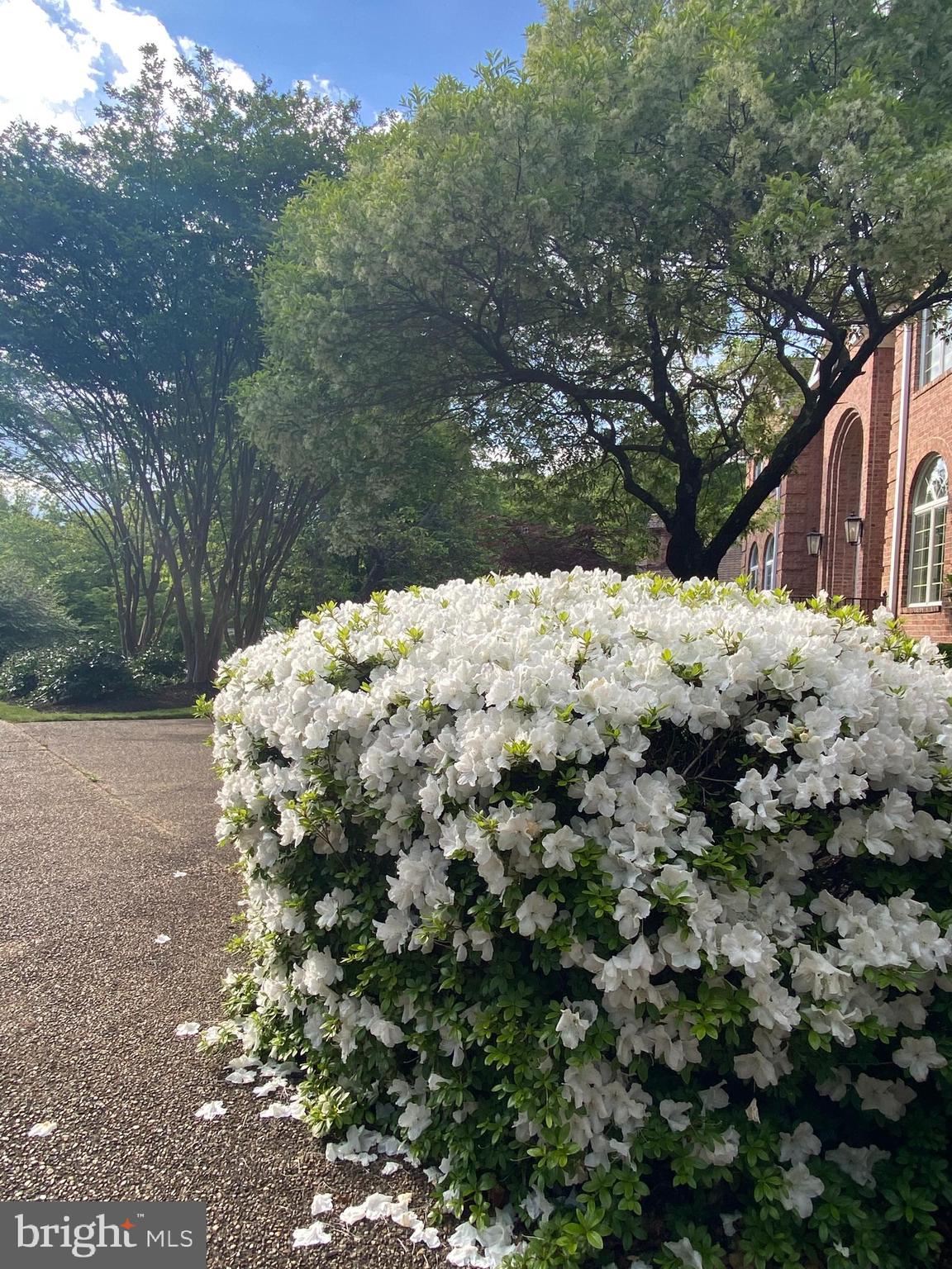 GREAT FALLS ESTATES - Residential