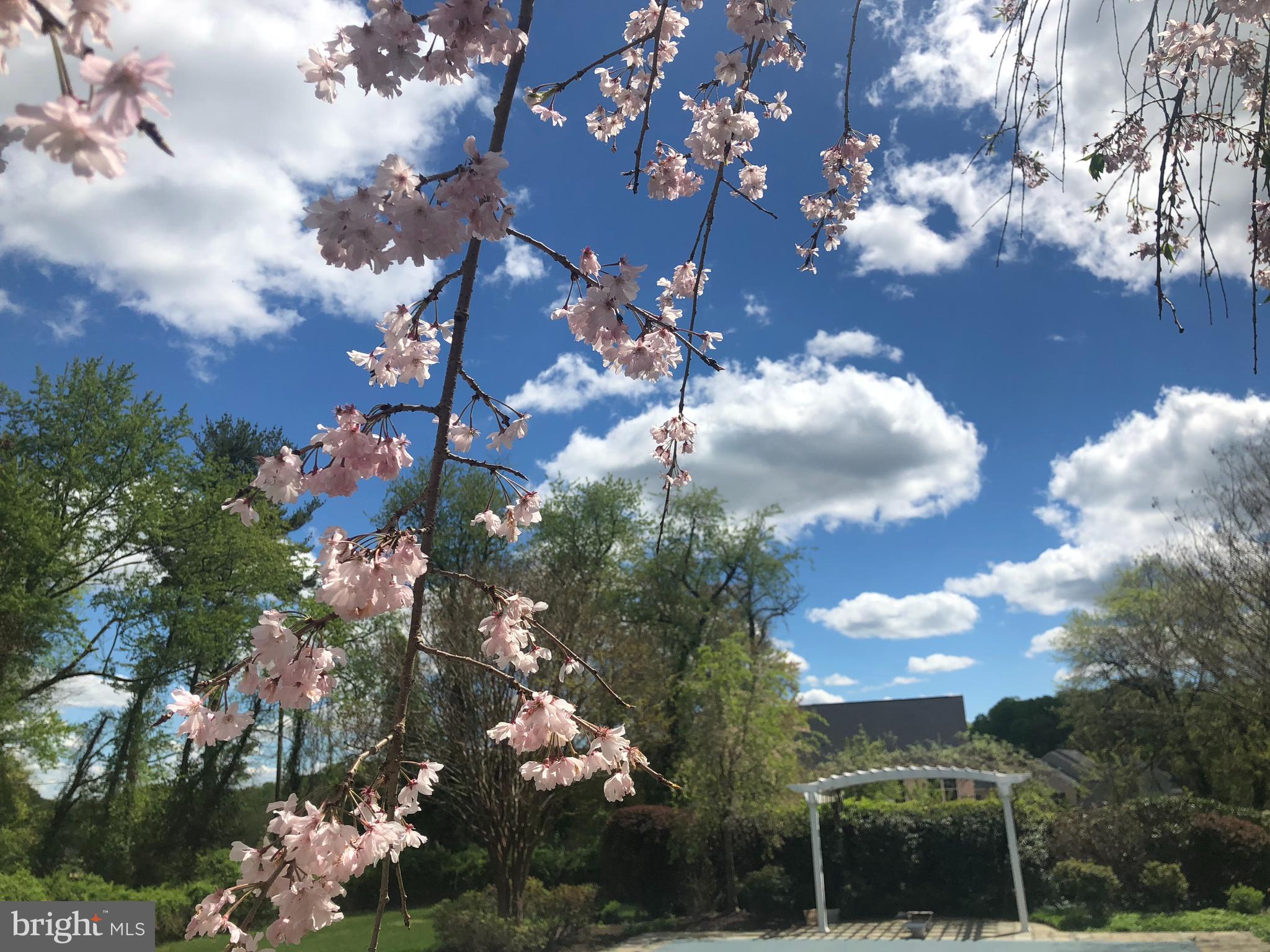 GREAT FALLS ESTATES - Residential