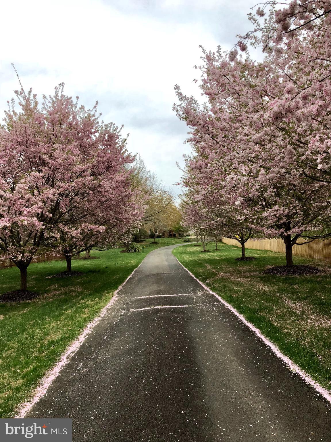 GREAT FALLS ESTATES - Residential