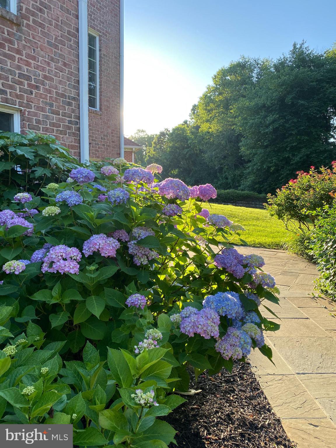 GREAT FALLS ESTATES - Residential