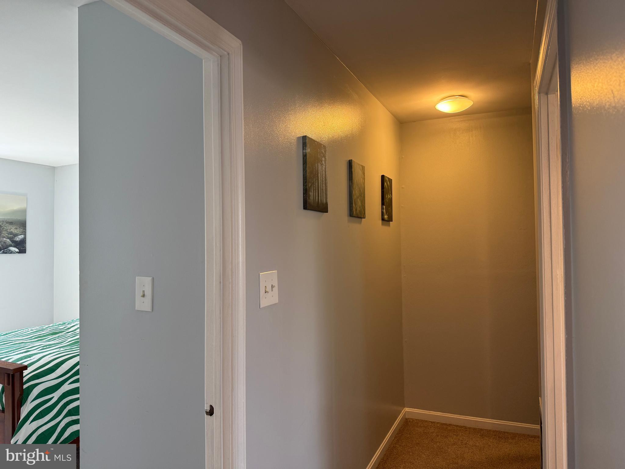 COLLEGE PARK - Residential