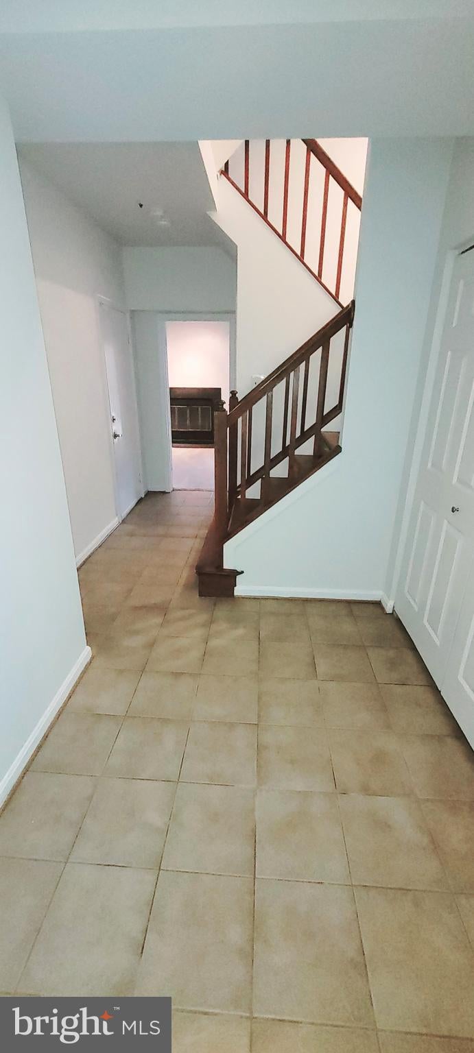 14653 COLONELS CHOICE