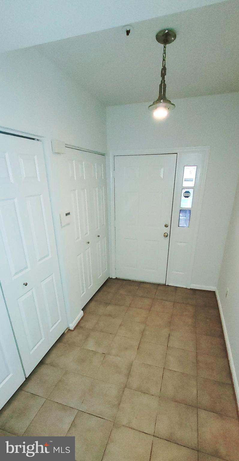 14653 COLONELS CHOICE