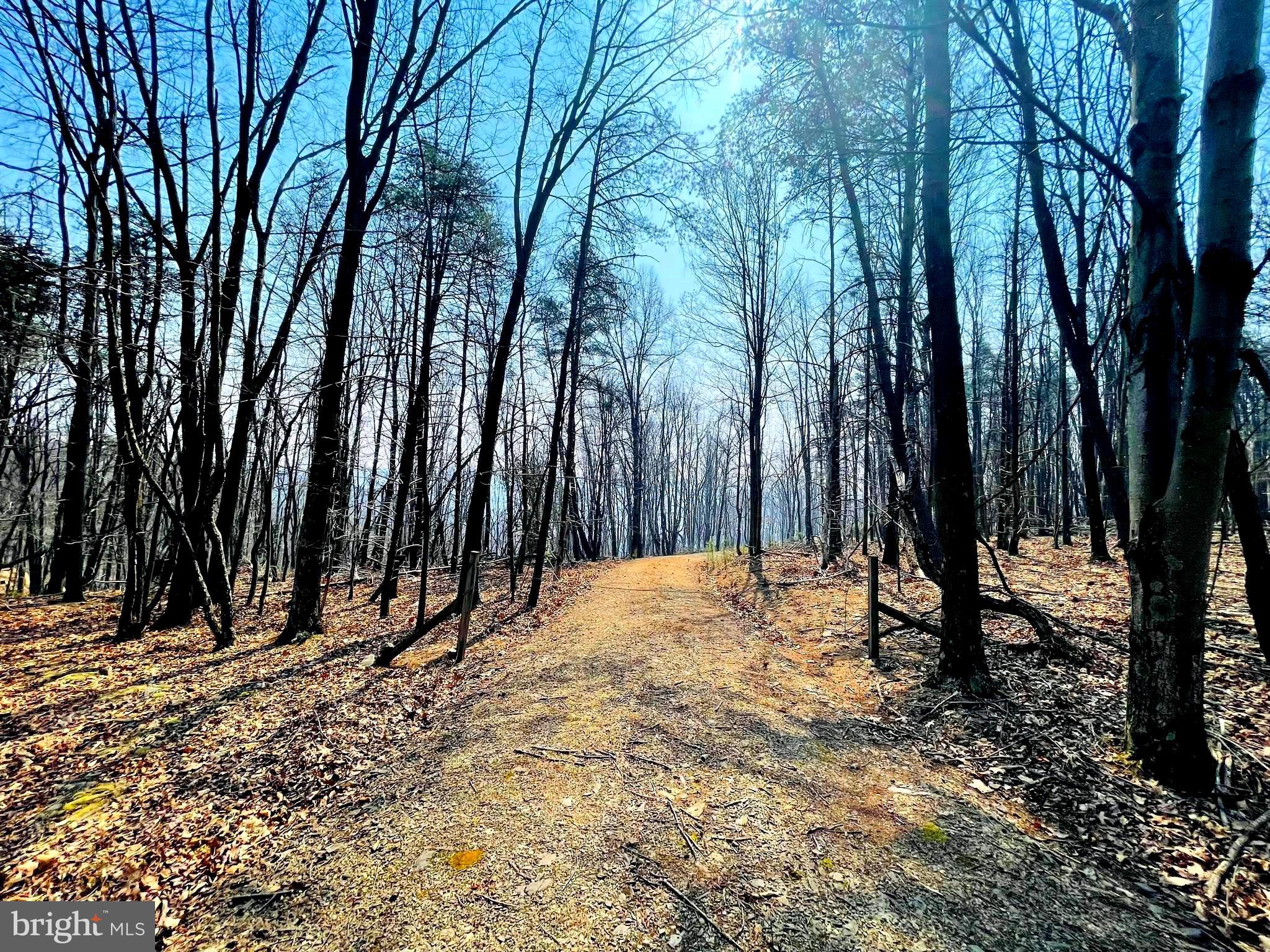 BLUFFS ON THE POTOMAC - Land