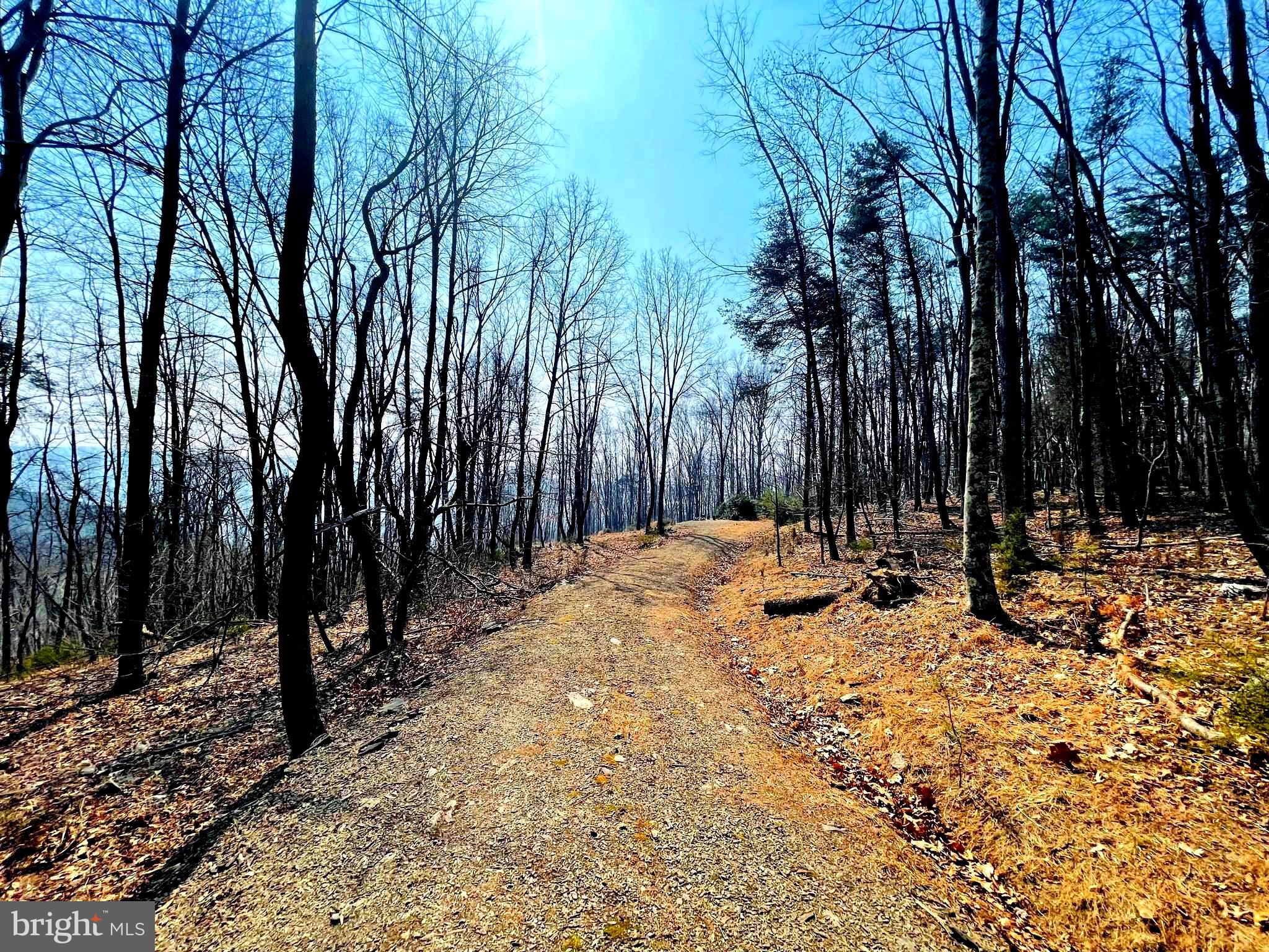BLUFFS ON THE POTOMAC - Land