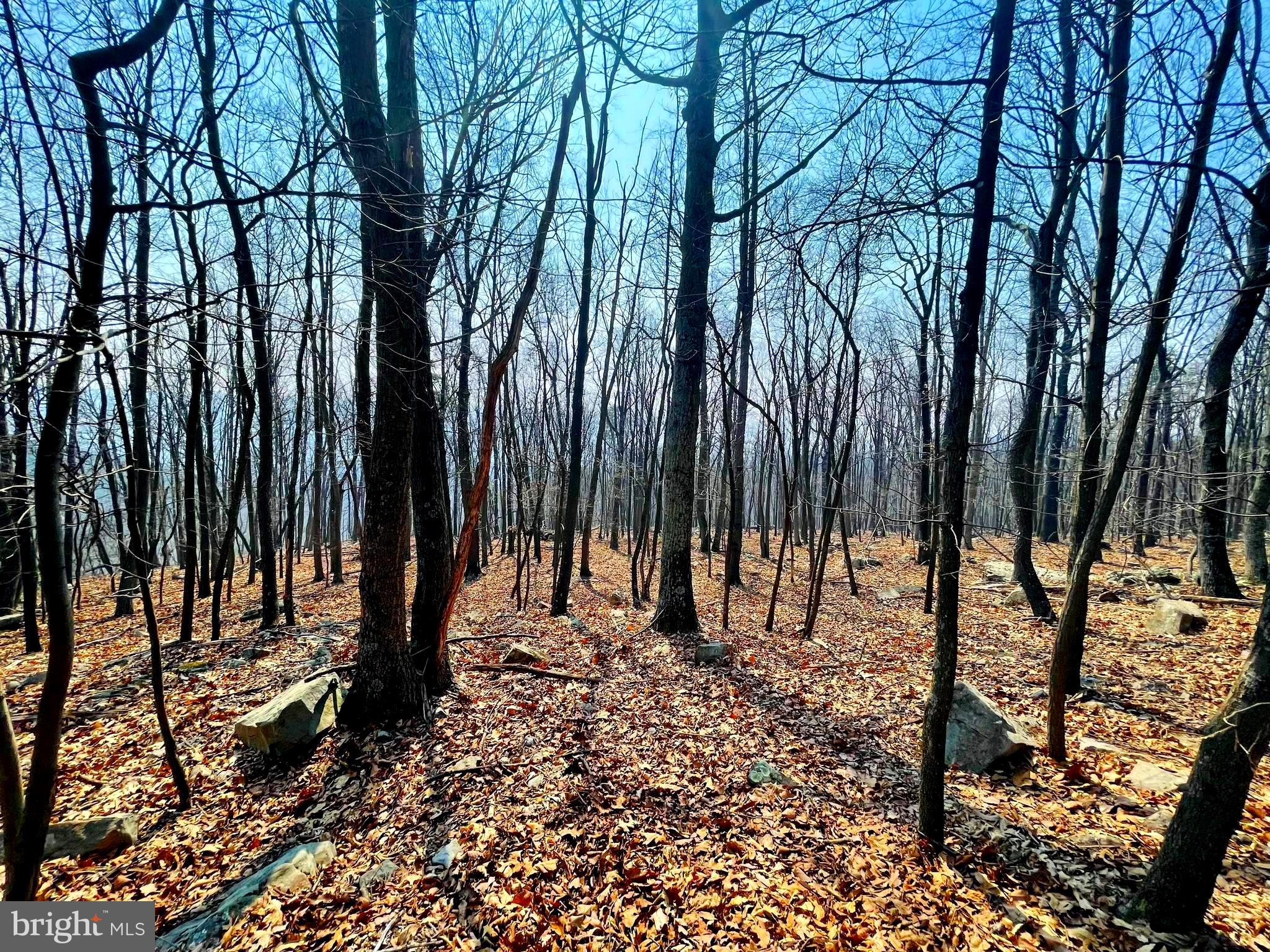 BLUFFS ON THE POTOMAC - Land