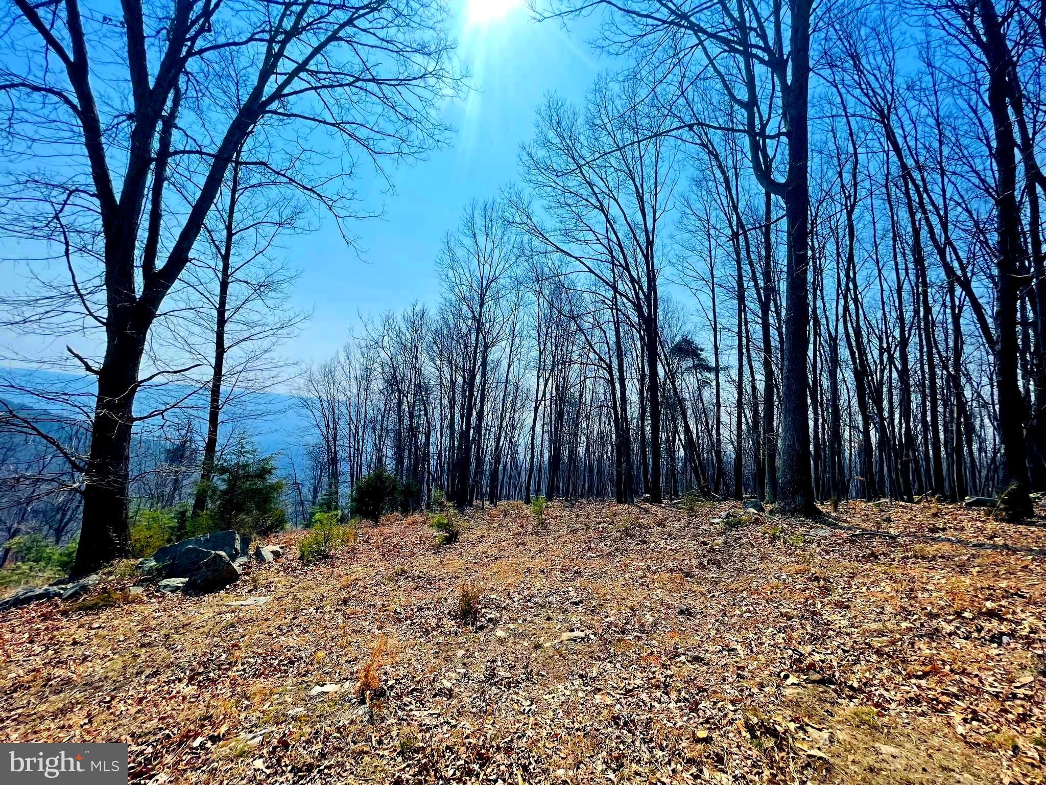 BLUFFS ON THE POTOMAC - Land