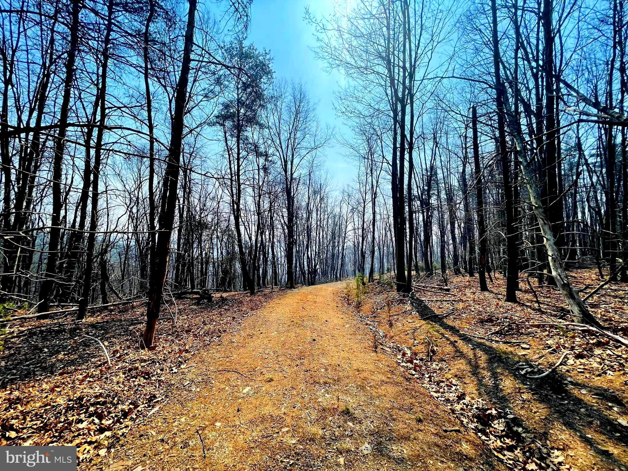 BLUFFS ON THE POTOMAC - Land