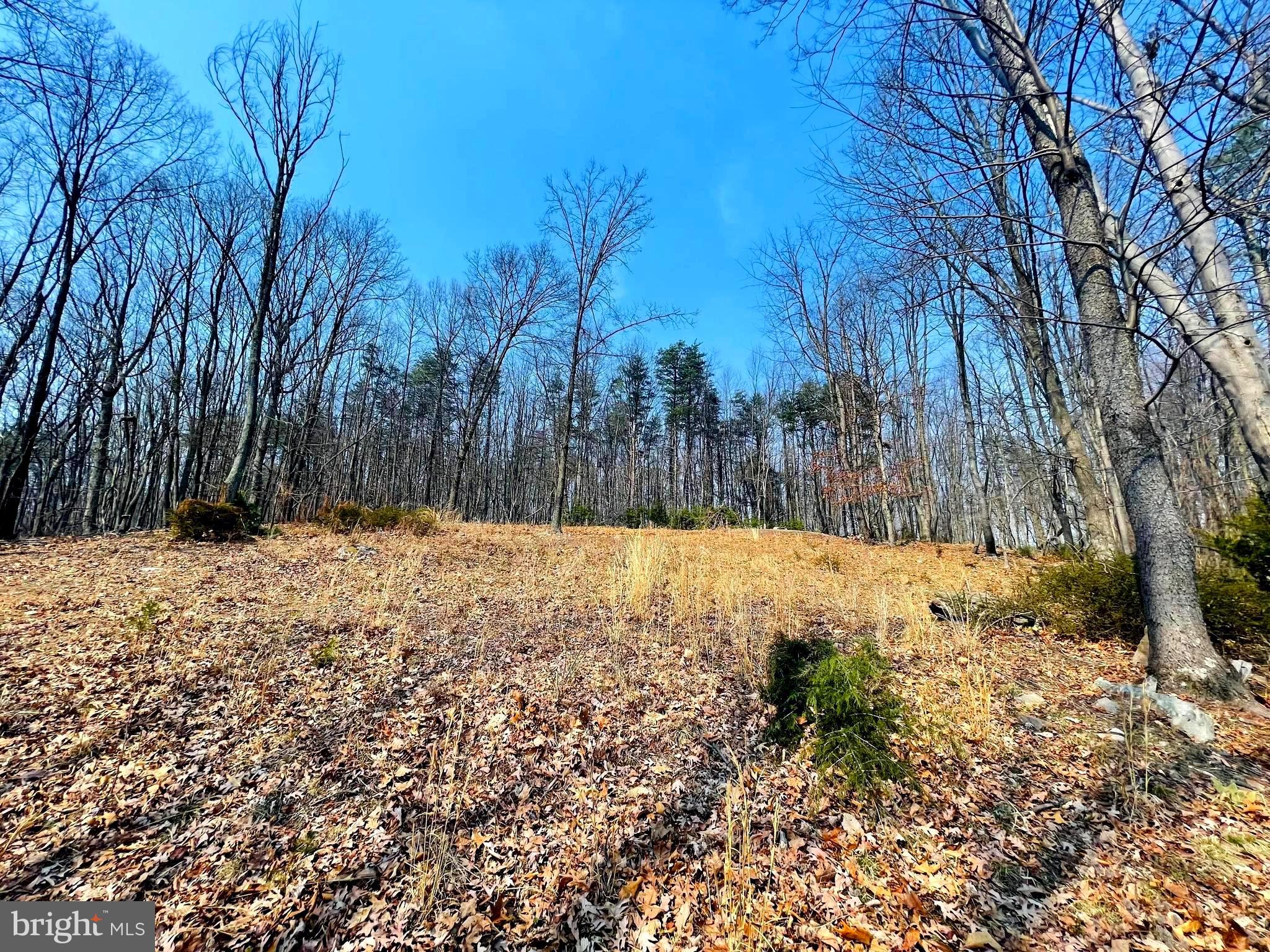 BLUFFS ON THE POTOMAC - Land