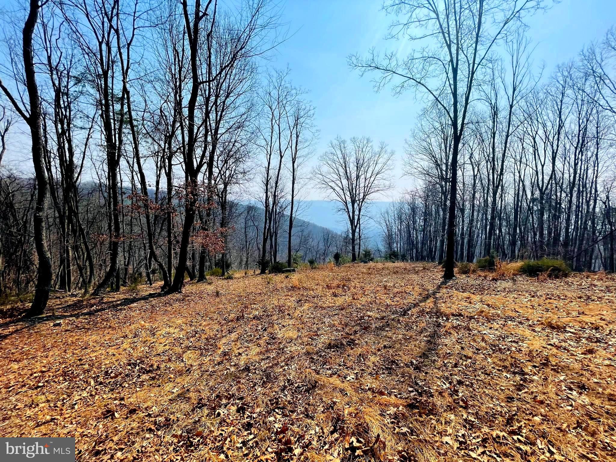 BLUFFS ON THE POTOMAC - Land