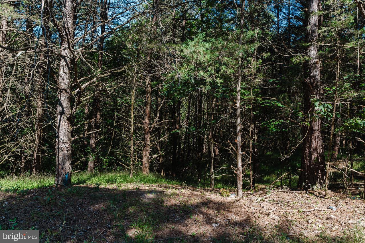 RIVERVIEW ESTATES - Land